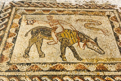volubilis